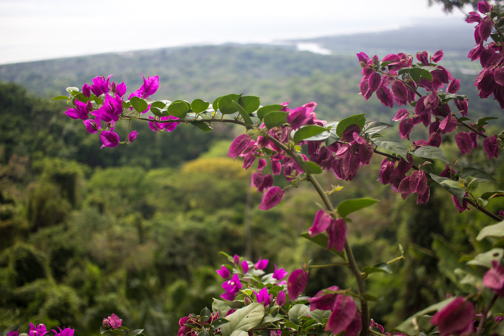 Costa Rica Jaco and Manuel Antonio