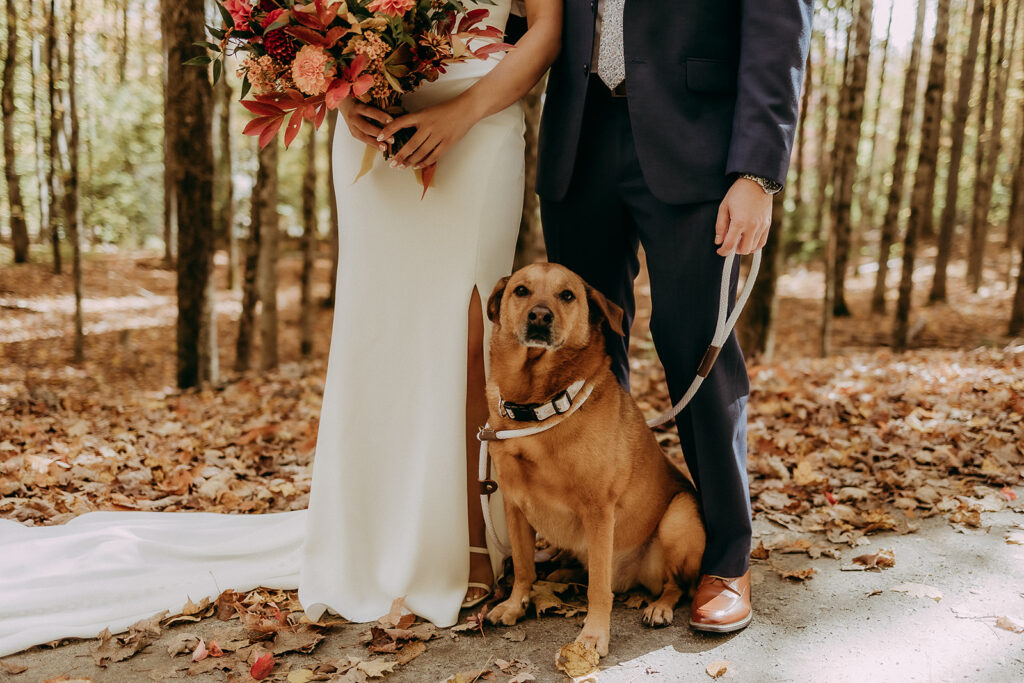 mount mansfield vermont elopement